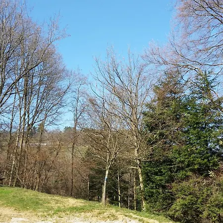 Giteovosges Ferienhaus *