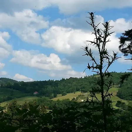 Ferienhaus Giteovosges La Croix-aux-Mines