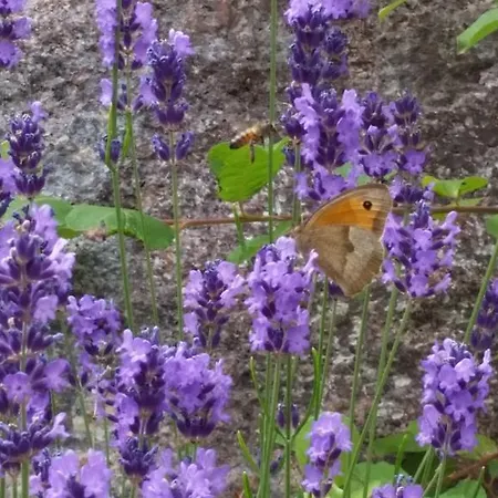 Ferienhaus Giteovosges La Croix-aux-Mines