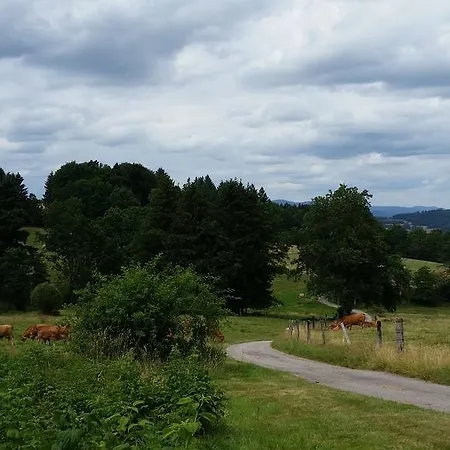 Giteovosges * La Croix-aux-Mines