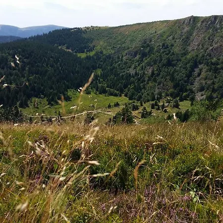 Ferienhaus Giteovosges *