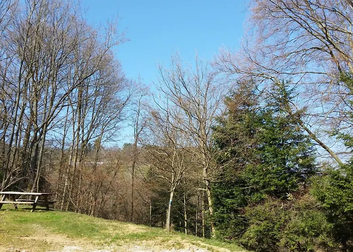 Giteovosges 펜션 *