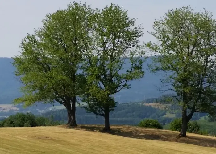 度假居 吉特奥沃斯基斯度假屋 *