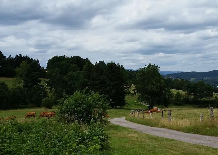 吉特奥沃斯基斯度假屋 * La Croix-aux-Mines