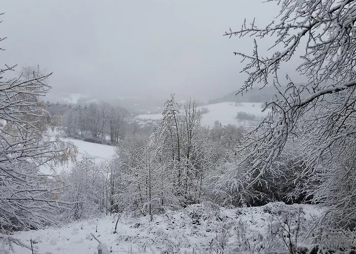 度假居 吉特奥沃斯基斯度假屋 *